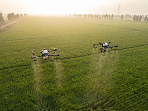 为农民进行公益消杀